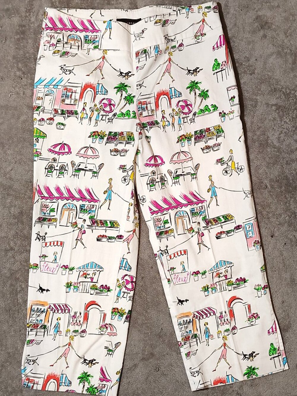 Vintage Y2K Capri Pant Randi M Women's Size 8 Petite Parisian Cafe European Art